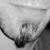 :icondichter4fun: