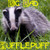 :icondickgloucester:
