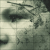 :icondickvocoder: