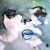 :icondid-i-dream: