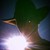 :icondidgeridude97: