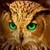 :icondidier33470: