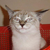 :icondidymuss69: