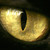 :icondieaugen: