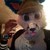:icondiegofurro: