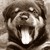 :icondiegolintz: