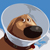 :icondiehardferret: