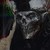 :icondiesfaustus: