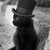 :icondiesonnenkatze:
