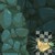 :icondigger-potato: