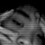 :icondigifreakjj19: