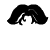 :icondigimaging: