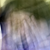 :icondigital-body: