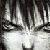 :icondigital-spooker: