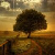 :icondigitalesthetique: