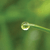 :icondigitalfocus: