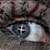 :icondigitalgreymon: