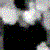 :icondigitalmeat: