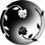 :icondigitalmethod: