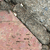 :icondigitalshade: