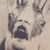 :icondigitalsight: