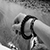 :iconDigiTT: