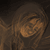 :icondijitol: