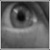 :icondilary: