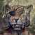:icondillhole17: