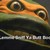 dillonfoe :icondillonfoe: