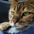 :icondimensionhopper123:
