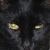 :icondimentex: