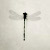 :icondimgray:
