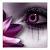:icondimples-k: