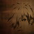 :icondimtalis512: