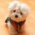 :icondingallama: