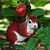 dingleberry89 :icondingleberry89: