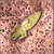 DingusXeon :icondingusxeon: