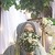 :icondini-ayomi: