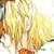 :icondino-chiaveronne: