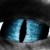 :icondinocandy5: