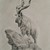 DinoHunter000 :icondinohunter000: