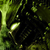 :icondinokid58: