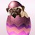 :icondinosayzrawrtopug: