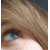 :icondintoira:
