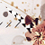 :icondio08: