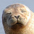 :icondipithne: