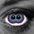:icondipitymoon:
