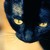 :icondirectdescent: