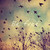 :icondirectionersheerio: